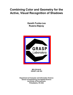 Combining Color and Geometry for the Active