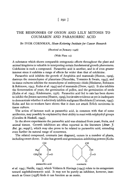 the responses of onion and lily mitosis to coumarin and parasorbic