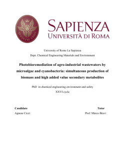 Photobioremediation of agro-industrial - Padis
