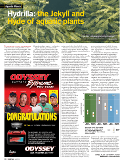 hydrilla: the Jekyll and hyde of aquatic plants