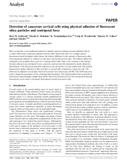 Analyst PAPER - Tufts University
