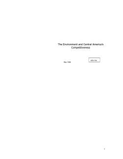 The Environment and Central America`s Competitiveness