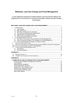 Wetlands, Land Use Change and Flood Management