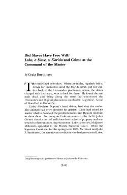 Did Slaves Have Free Will? Luke, a Slave, v. Florida and Crime at
