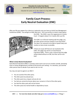 Family Court Process: Early Neutral Evaluation