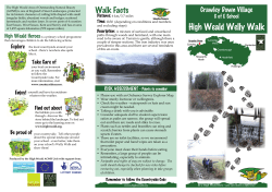 Crawley Down - Welly walk