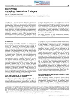Aggrephagy: lessons from C. elegans