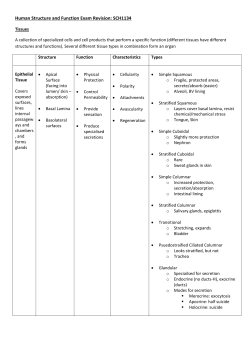 Human Structure and Function Exam Revision: SCH1134