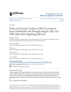 Perlecan Domain V induces VEGf secretion in brain endothelial