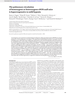 The pulmonary circulation of homozygous or heterozygous eNOS