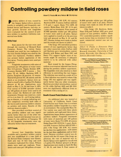 Controlling powdery mildew in field roses