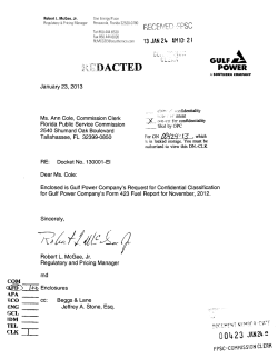 3i, 1/Ill!L 9 - Florida Public Service Commission