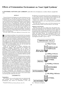 Effects of Fermentation Environment on Yeast Lipid Synthesis