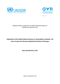 Implications of the Global Political Economy on