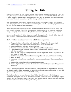 manny`s buck fighter kite