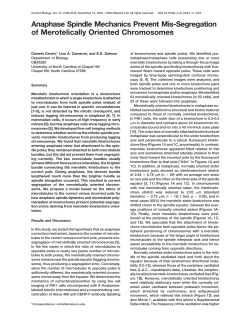 Anaphase Spindle Mechanics Prevent Mis