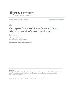 Conceptual Framework for an Optimal Labour Market Information