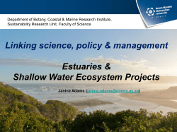 SALT MARSH CHARACTERISTICS AND FRESHWATER