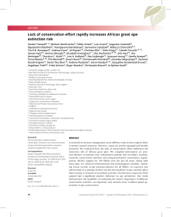 Lack of conservation effort rapidly increases African great ape