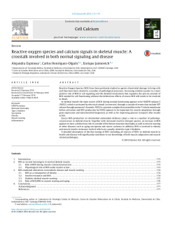 Reactive oxygen species and calcium signals in skeletal muscle: A
