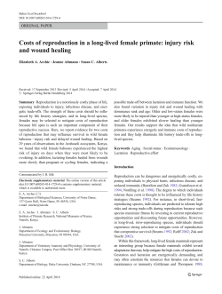 Costs of reproduction in a long-lived female primate: injury risk and