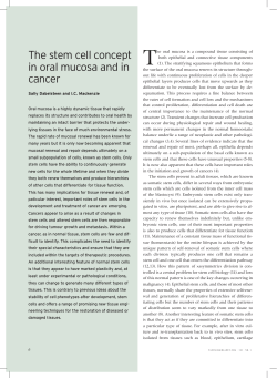 The stem cell concept in oral mucosa and in cancer