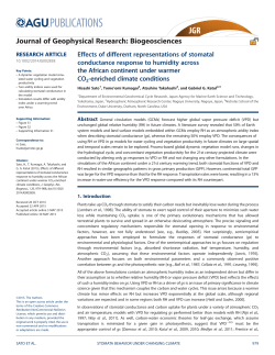 Effects of different representations of stomatal conductance