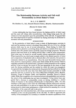 The Relationship Between Activity and Cell -wall
