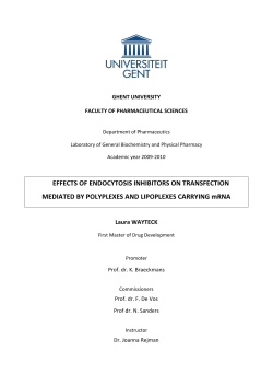 EFFECTS OF ENDOCYTOSIS INHIBITORS ON TRANSFECTION