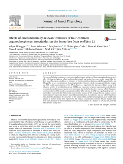 Effects of environmentally-relevant mixtures of four common