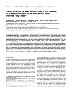 Structural Basis for Dual Functionality of