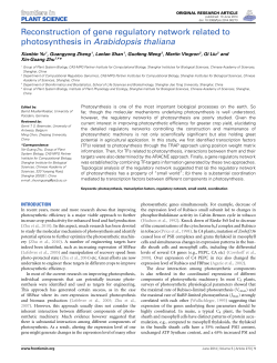 Reconstruction of gene regulatory network related to photosynthesis