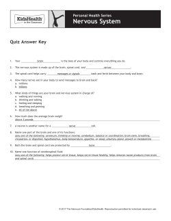 Answer Key: Nervous System - KidsHealth in the Classroom