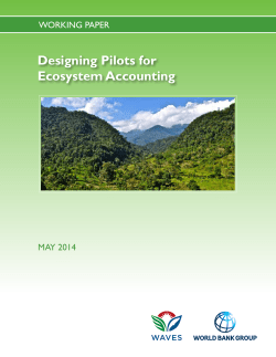 Designing Pilots for Ecosystem Accounting