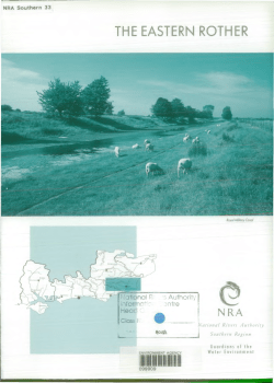 Display PDF in separate tab