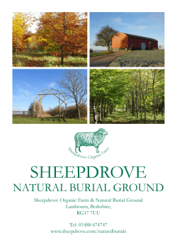 the full brochure