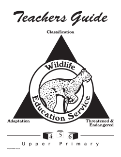 Teachers Guide (upper primary 4-6)