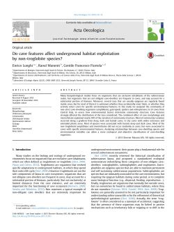Do cave features affect underground habitat exploitation by non