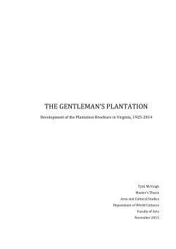 the gentleman`s plantation