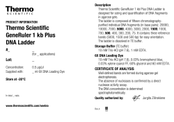 Thermo Scientific GeneRuler 1 kb Plus DNA Ladder