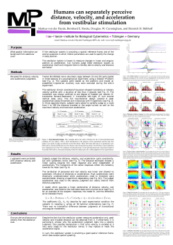 Humans can separately perceive distance, velocity, and