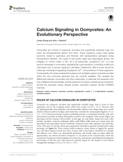 Calcium Signaling in Oomycetes: An Evolutionary Perspective