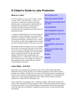 A Citizen`s Guide to Lake Protection