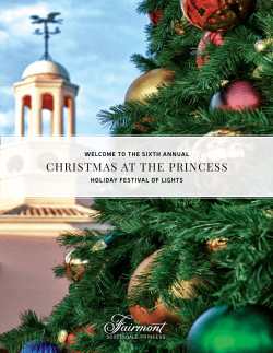 HOLIDAY FESTIVAL OF LIGHTS