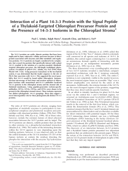 Interaction of a Plant 14-3-3 Protein with the Signal Peptide of a