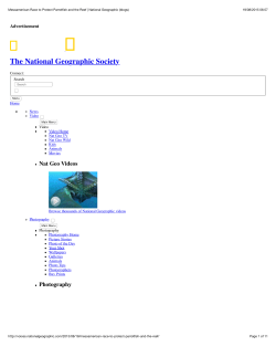 Mesoamerican Race to Protect Parrotfish and the Reef | National