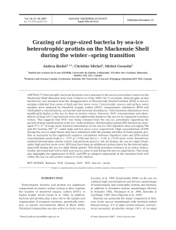 Grazing of large-sized bacteria by sea