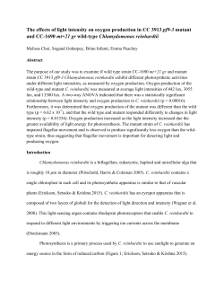 The effects of light intensity on oxygen production in CC 3913 pf9