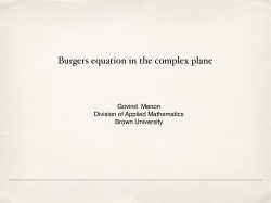 Burgers equation in the complex plane