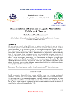 Bioaccumulation of Chromium by Aquatic Macrophytes Hydrilla sp